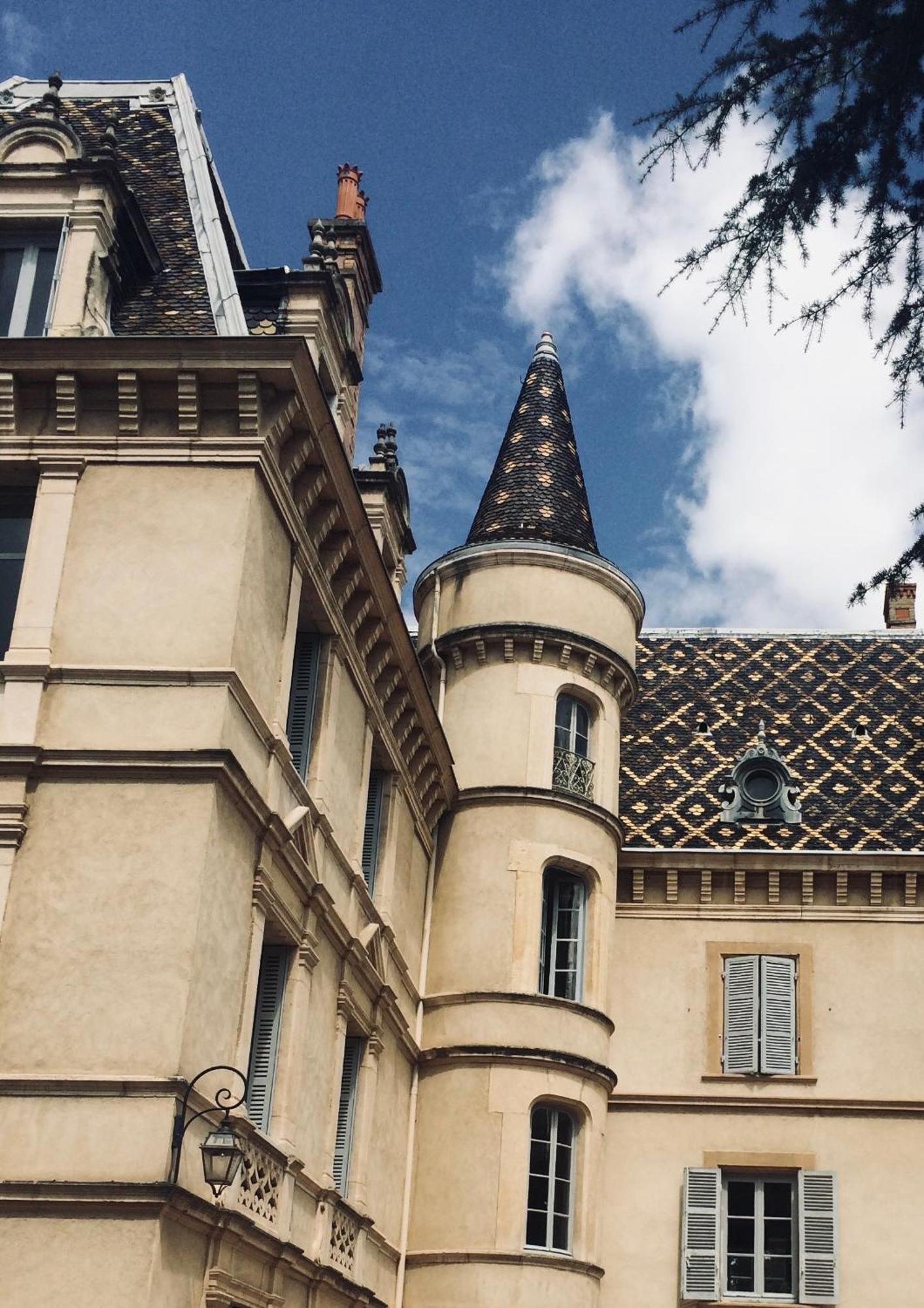 Grand Appartement D'Exception Au Chateau Randin Écully Esterno foto