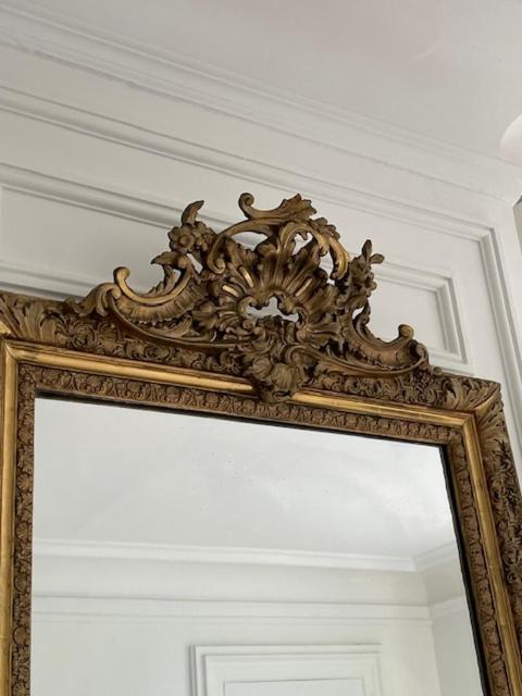 Grand Appartement D'Exception Au Chateau Randin Écully Esterno foto