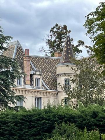 Grand Appartement D'Exception Au Chateau Randin Écully Esterno foto