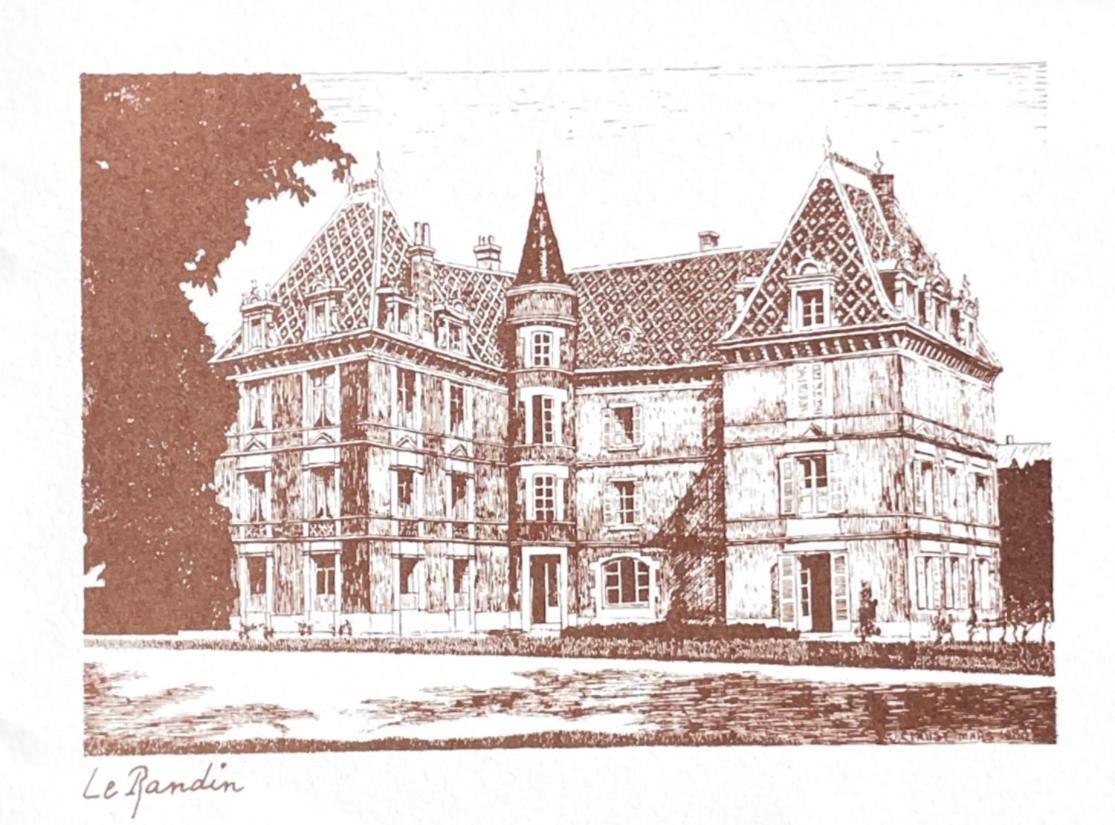 Grand Appartement D'Exception Au Chateau Randin Écully Esterno foto