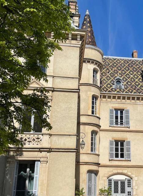 Grand Appartement D'Exception Au Chateau Randin Écully Esterno foto